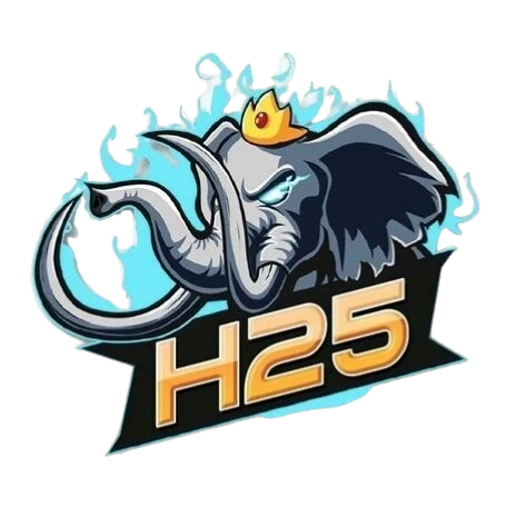h25